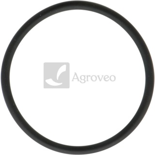 Pierścień uszczelniający 55800426 380840665-0001