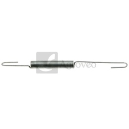 Sprężyna regulatora 55800154 171600039-0001