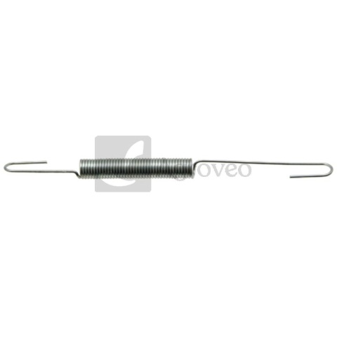 Sprężyna regulatora 55800154 171600039-0001 Sprężyna regulatora 55800154 171600039-0001