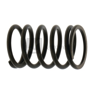 Sprężyna zaworu 55800264 140340025-0001