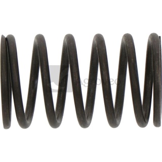 Sprężyna zaworu 55800444 140340039-0001