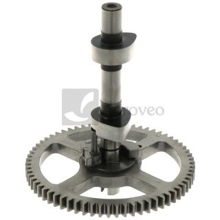 Wałek rozrządu Briggs 84005207, 793880, 790400, 793583, 790392, 792681, 698492, 699016, 692421, 693450, 697139, 496884, 494433