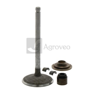 Zawór ssący 715791935 695761, 495857, 791935