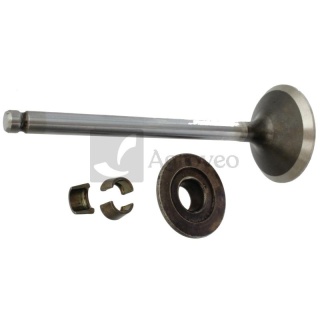 Zawór wydechowy 715792868 495856, 698370, 696986, 695760, 792868, 791934