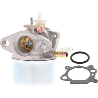 Gaźnik Briggs Stratton 799869