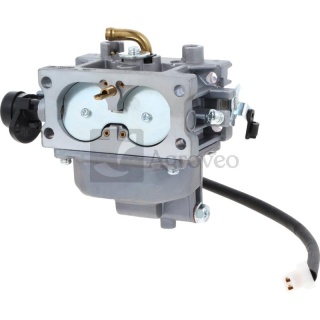 Gaźnik 55800442 170021849-0001, 170020901-T400