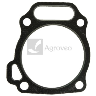 Uszczelka głowicy silnika 55800338 120150141-0001