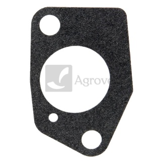 Uszczelka kołnierzowa gaźnika 55800290 170430050-0001