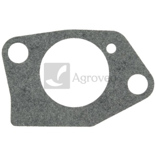 Uszczelka kołnierzowa gaźnika 55800291 170430099-0001