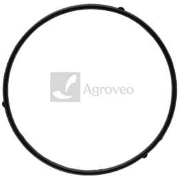 Uszczelka obudowy pływaka 55800206 380840455-0001