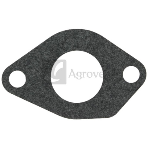 Uszczelka przyłącza filtra 55800110 170430160-0001