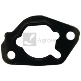 Uszczelka przyłącza filtra 55800111 170430076-0001