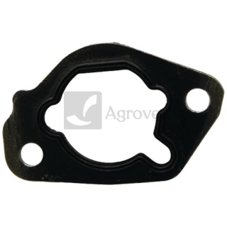 Uszczelka przyłącza filtra 55800111 170430076-0001