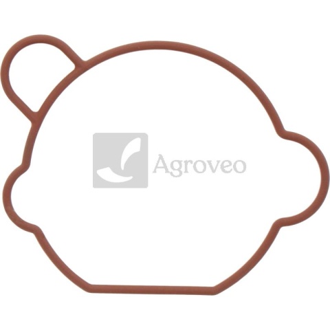 Uszczelka przyłącza filtra 55800468 170430173-0001, 170430173-0001_ERSET