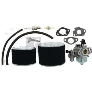 Zestaw do konserwacji gaźnika 30271128 16100-ZH9-W20, 16100-ZH9-W21