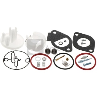 Zestaw naprawczy gaźnika Nikki Briggs & Stratton 796184