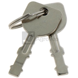 Kluczyki zapłonowe 18270175 925-2054A, 925-2054, 725-2054, 725-2054A, 430-894