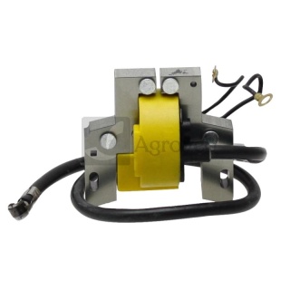 Cewka zapłonowa 18270165 299366, 298968, 460-006