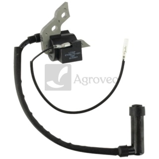 Cewka zapłonowa 55800322 270920176-0001