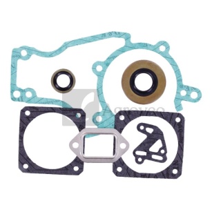 Zestaw uszczelek 40270529 1119 007 1050