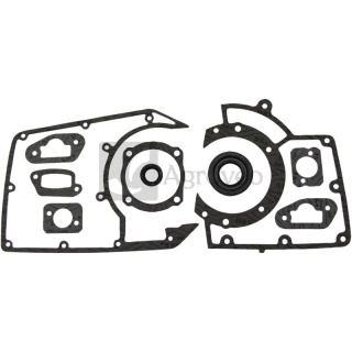 Zestaw uszczelek silnika 40271040 1111 007 1051