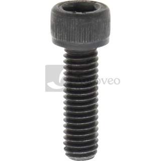 Śruba cylindra 40272235 503 21 60-25, 503 21 60-01