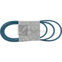 Pasek klinowy 57274096 4L960K, 248-096