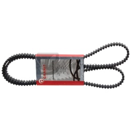 Podwójny pasek zębaty typ H 57270337 DS8M180020