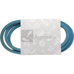 Pasek klinowy 57275069 5L690K, 258-069
