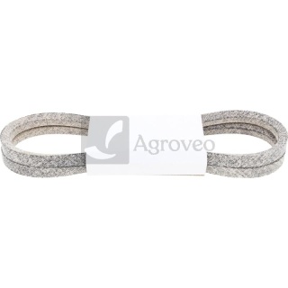 Zestaw pasków klinowych 12365479 K211025032