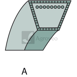 Pasek klinowy 55170071 589 53 52-01, 504 87 73-01, LG2000125