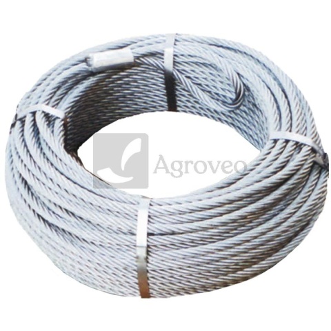 Lina leśna CLASSIC 32270485