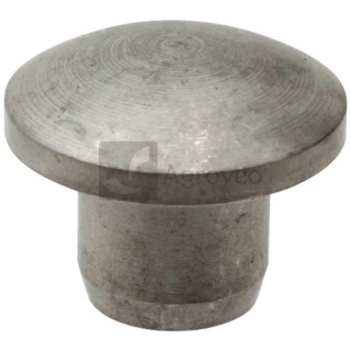 Grzybek 56214646 14646