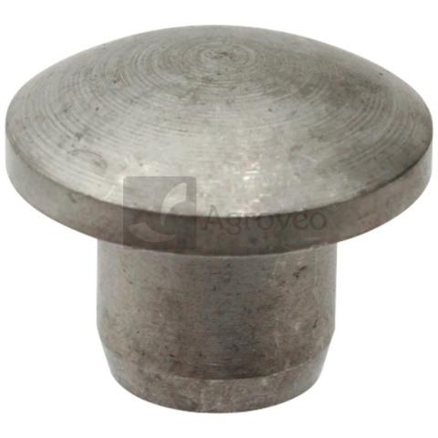 Grzybek 56214646 14646 Grzybek 56214646 14646