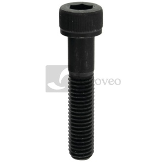 Śruba noża 13270480 SA2982, 19M9057, SA30115