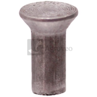 Nieten 12324456 3231971, 323.1971-SAP