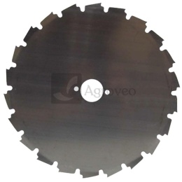 Brzeszczot z zębem typu dłuto 13270590