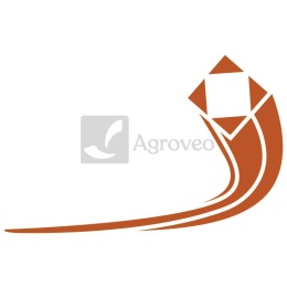 Żyłka nylonowa 13285215