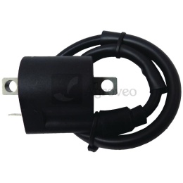 Moduł zapłonowy 6620000288 21121-1070, 21121-1066, 21121-1122, 21121-1056