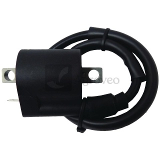 Moduł zapłonowy 6620000288 21121-1070, 21121-1066, 21121-1122, 21121-1056