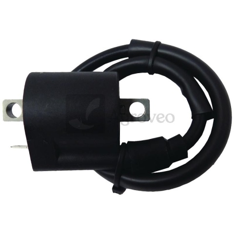 Moduł zapłonowy 6620000288 21121-1070, 21121-1066, 21121-1122, 21121-1056