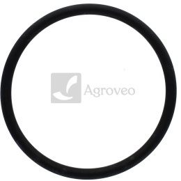 Oring 38002070 711048R2