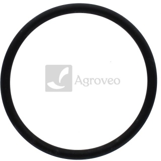 Oring 38002070 711048R2