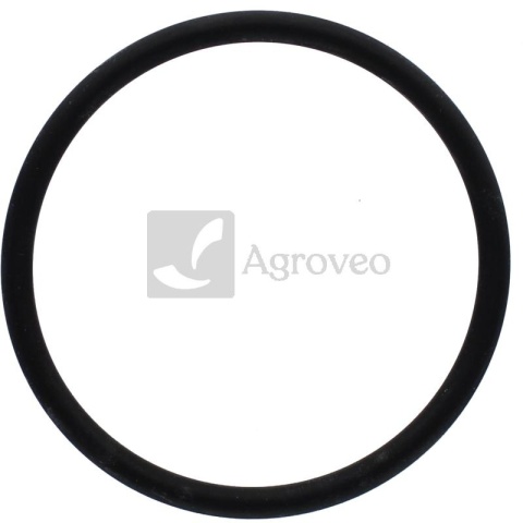 Oring 38002070 711048R2