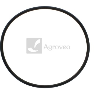 Oring 38002072 718203R4, 718203R1