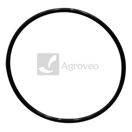 Oring 38002757 3228348R1