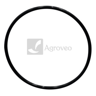 Oring 38002757 3228348R1
