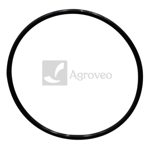 Oring 38002757 3228348R1