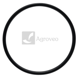 Oring 38002921 704100R1