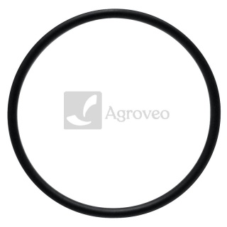 Oring 38002921 704100R1